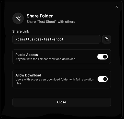 Share projects interface showing secure link sharing options